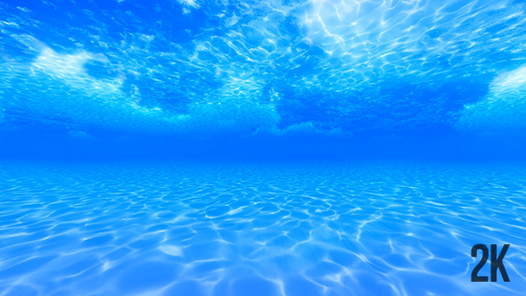 Underwater View