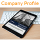 E-company Profile - GraphicRiver Item for Sale