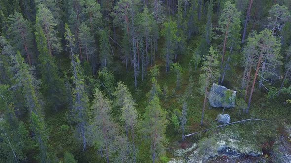 Republic of Karelia, Russia. Beautiful northern nature. River and waterfall.