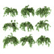 Ivy in pot. 9 models - 3DOcean Item for Sale