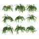 Ivy in pot. 9 models v2 - 3DOcean Item for Sale