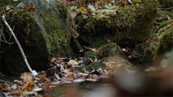 Small Stream