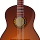 Acoustic Guitar Instrumental