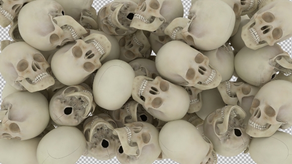 Falling Skulls Transition alt