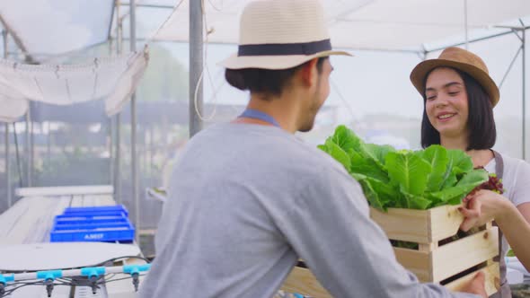 Two Asian attractive couple farmers working in vegetables hydroponic greenhouse farm with happiness.