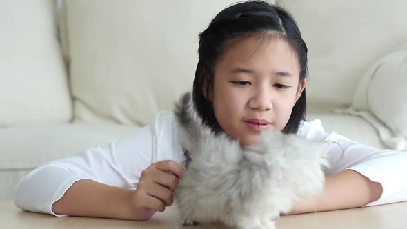 Cute Asian Child Playing With Scottish Kitten Together