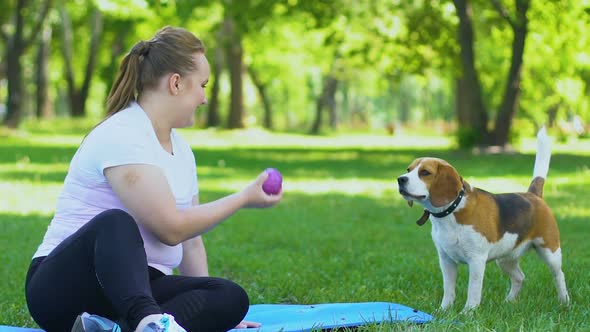 Pretty Young Woman Sitting in Park on Lawn and Playing With Dog, Relaxation