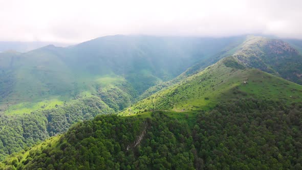 aerial view from mountain and forest