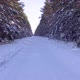 Winter Forest Driving - VideoHive Item for Sale