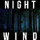 Night Wind Ambience