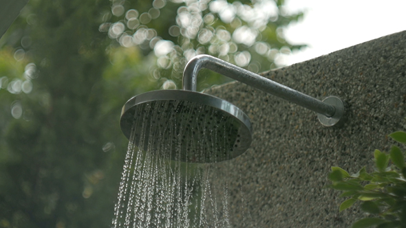 Shower Head