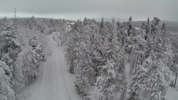 Aerial View Of Winter Camp In Pine Forest