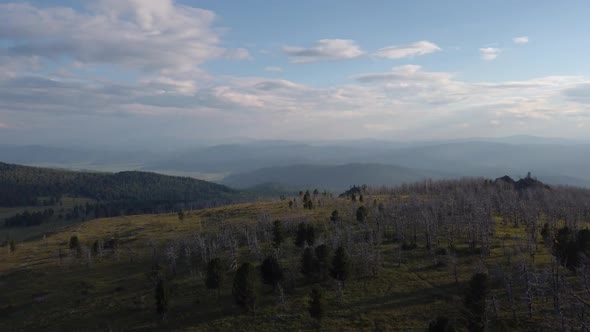 Beauty Summer Sunny Evening on the Seminsky Mountain Pass