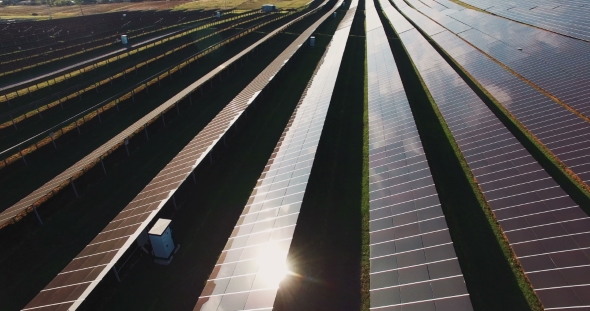 Long Rows Of Photovoltaic Panels At a Solar Farm