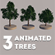 Animated Trees Set - 3DOcean Item for Sale