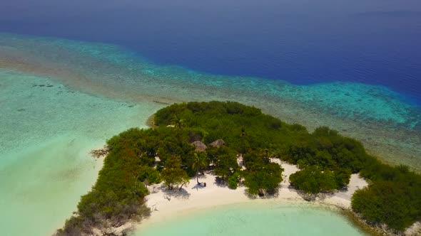 Aerial drone texture of bay beach wildlife by blue lagoon with sand background