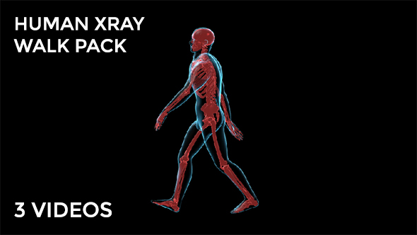 Human Walk Xray Pack