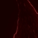 Red Abstraction On a Black Background - VideoHive Item for Sale