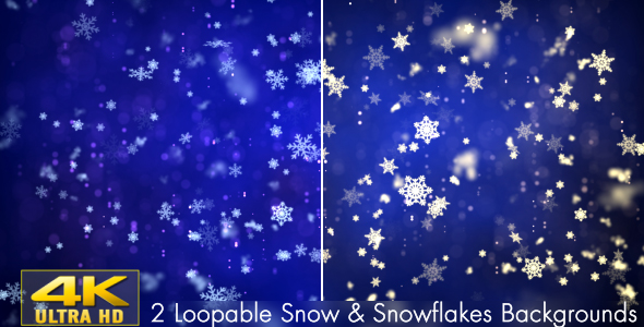 Snow and Snowflakes 1