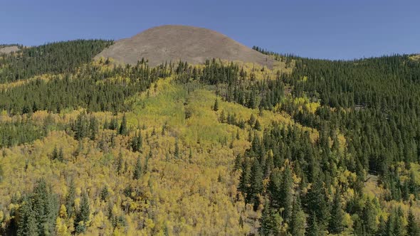 Fall foliage at Boreas Pass, CO