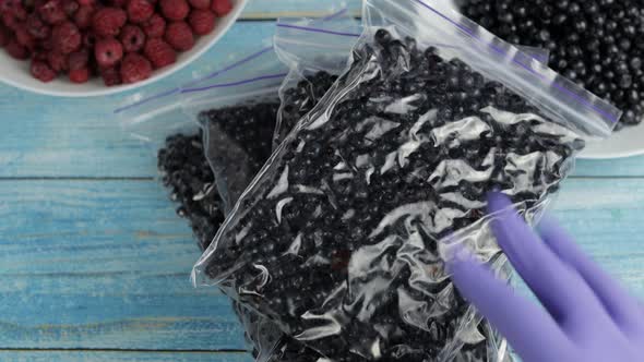 Packages with Blueberries in Zipper Plastic Bags for Freezing. Frozen, Preservation Berries Food
