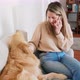 Woman talking on phone and stroking brushing golden retriever, Milan, Italy - VideoHive Item for Sale