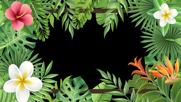 Tropical Plant Frame Hd alt