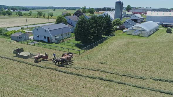 Aerial View of an Amish Farmers with Five Horses Harvesting His Crops