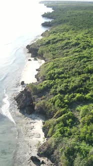 Zanzibar Tanzania  Ocean Shore Covered with Green Thickets Vertical Video