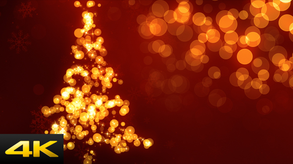 Christmas Tree Bokeh