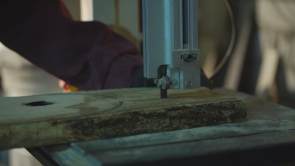 Pine Wood Trimming With Band Saw At Sawmill