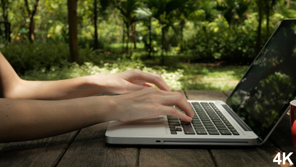 Using Laptop In Garden