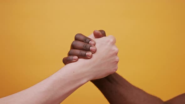 Black and White Hands Holding Together Isolated on the Orange Background. Close Up