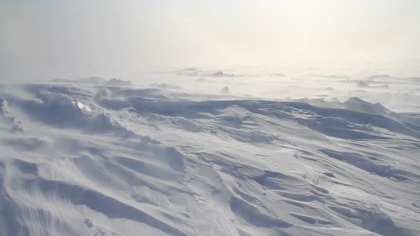 Arctic Blizzard. Arctic snow storm. Polar winter. Snow Storm. Hard Winter. Blowing Wind. Snow Drift