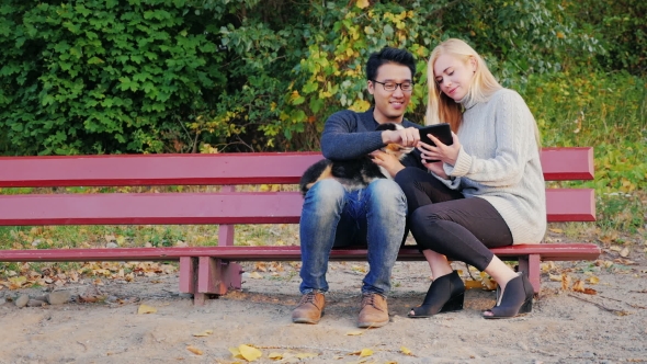 Young Multi-ethnic Couple Enjoying The Tablet In The Park. Sit On The Bench, At The Hands Of Their