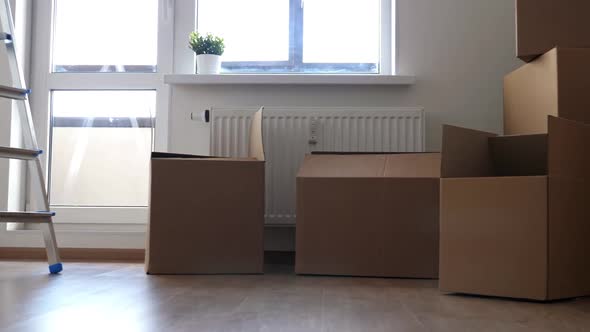 Packed Household Boxes Flowers Ladder in Room