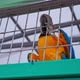Macaw parrot sits in a cage - VideoHive Item for Sale