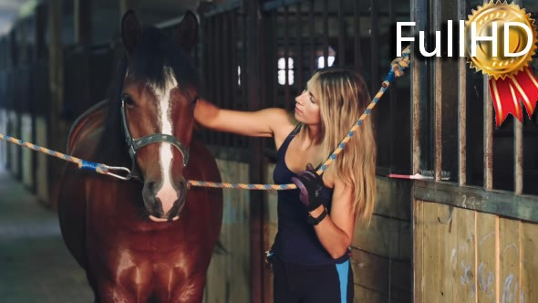 Woman Brushing Her Horse in the Stable