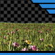 Grass & Flowers with Alpha - VideoHive Item for Sale