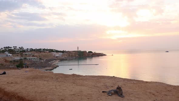 Panoramic View of Beach Ras Umm El Sid