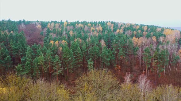 Beautiful natural scenery. Autumn forest aerial drone view