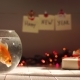 Beautiful Golden Fish Swimming in Aquarium, Gifts Around, Celebrating New Year,Holiday Decorations - VideoHive Item for Sale