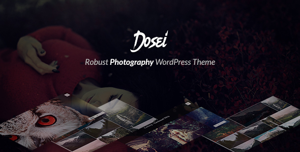 Dosei - Robust WP Theme for Photographers and Galleries