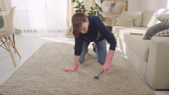 Woman in Gloves Cleaning Carpet Fibers