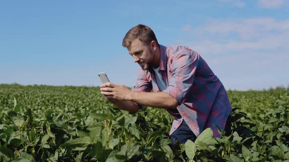 A Young Farmer Takes a Photo of Soybean Sprouts Growing on His Farm