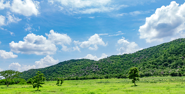 Green Meadow Mountains