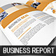 Business Report / Brochure - GraphicRiver Item for Sale