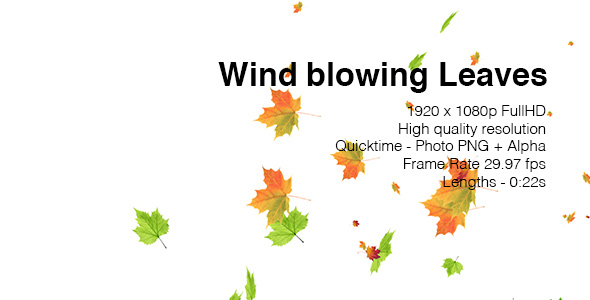 Wind Blowing Leaves