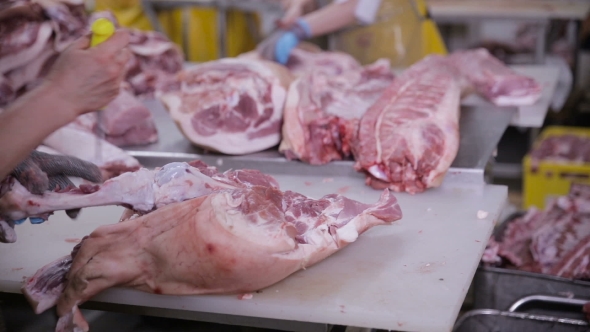 Worker Butcher at a Meat Factory Cutting Pork Meat. Fresh Raw Pork Chops in Meat Factory.