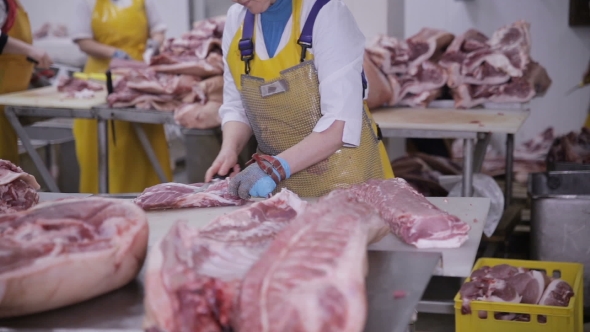 Worker Butcher at a Meat Factory Cutting Pork Meat. Fresh Raw Pork Chops in Meat Factory.